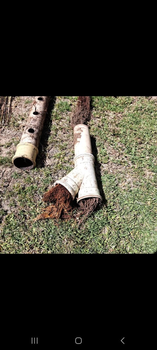 Root Intrusion Clearance